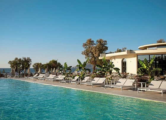 Domes Aulus Zante, Autograph Collection