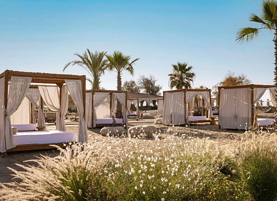 Domes Aulus Zante, Autograph Collection