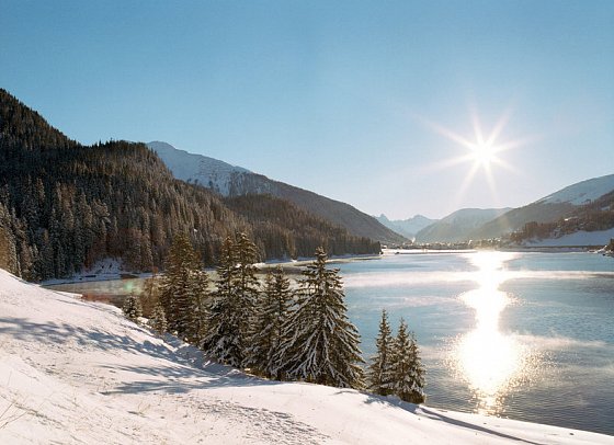 Hotel Seehof Davos