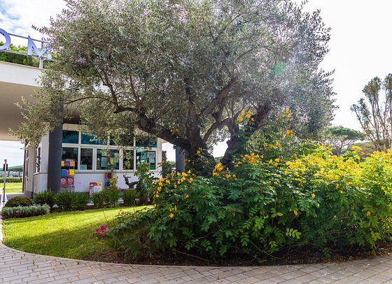 Camping Village Roma Capitol