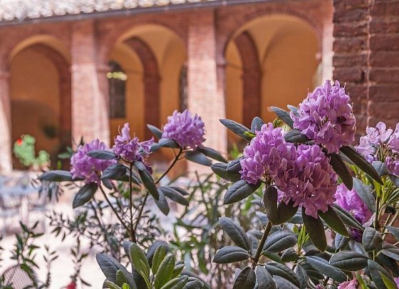Il Chiostro Del Carmine