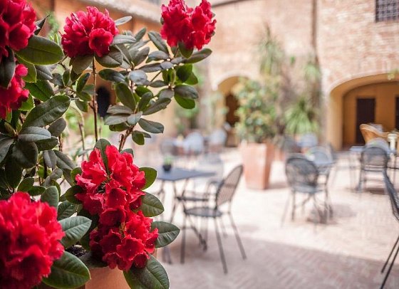 Il Chiostro Del Carmine