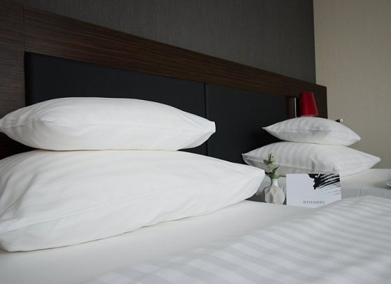 PLAZA INN Graz City