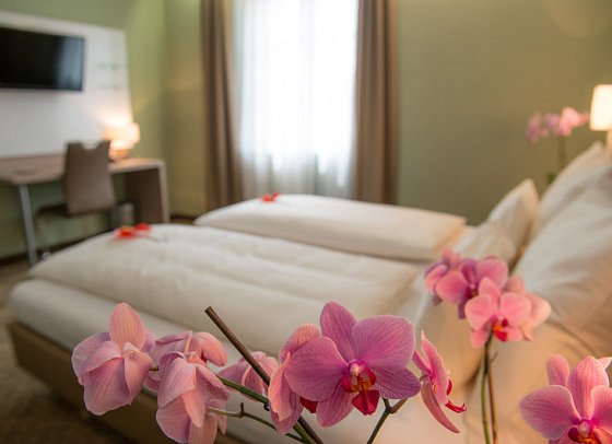 Hotel Raffel