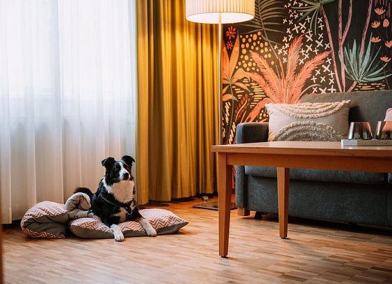 Auszeit Hotel St. Lambrecht