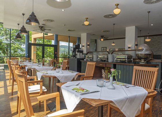 Hotel Donauwelle Linz