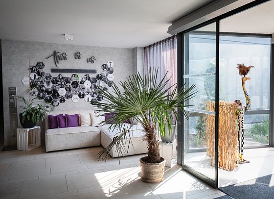 ibis Styles Linz Hotel