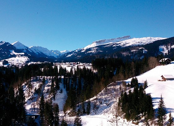 Bellevue