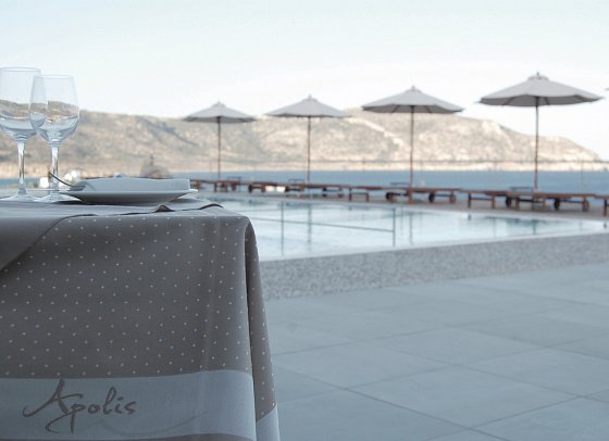 Apolis Beachscape