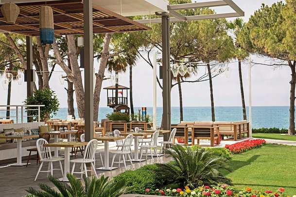 Acanthus & Cennet Barut Collection