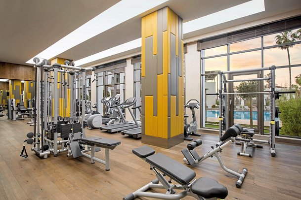 Acanthus & Cennet Barut Collection