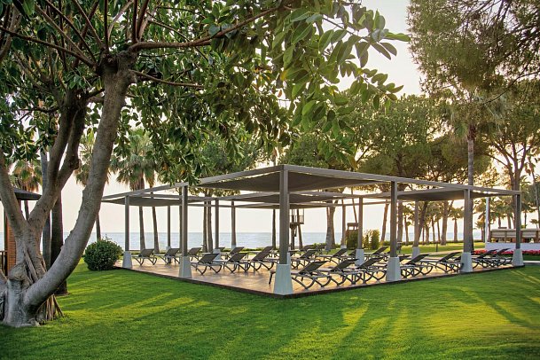 Acanthus & Cennet Barut Collection