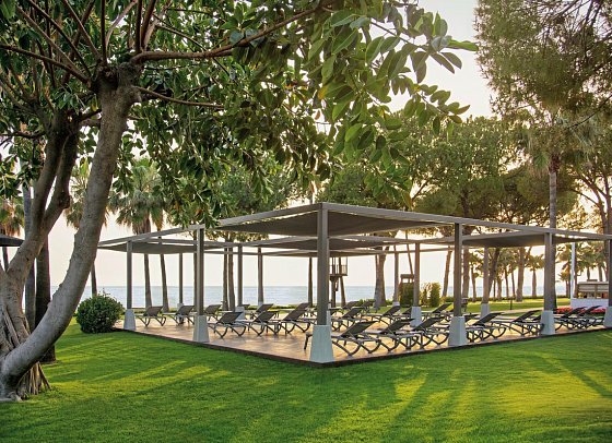 Acanthus & Cennet Barut Collection