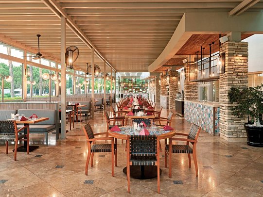 Lara Barut Collection