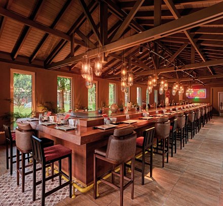 Lara Barut Collection