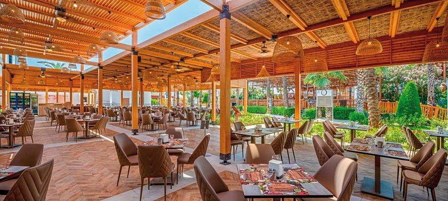 Delphin Diva Premiere