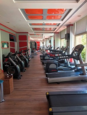 Delphin Diva Premiere