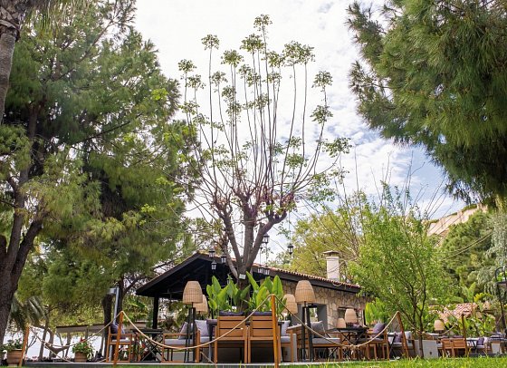 Barut Hemera