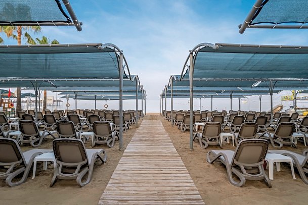 Trendy Palm Beach Adults only