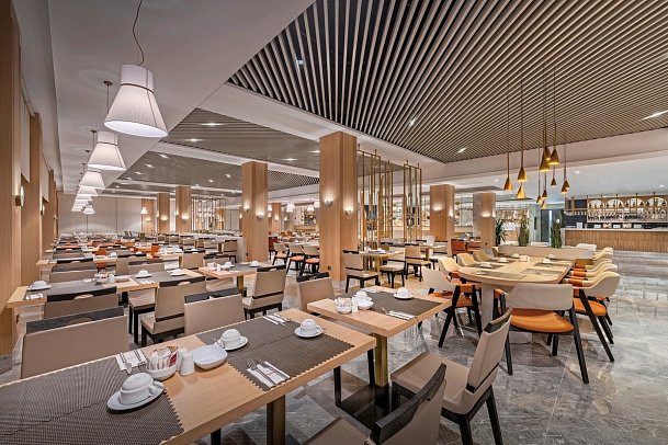 Trendy Palm Beach Adults only