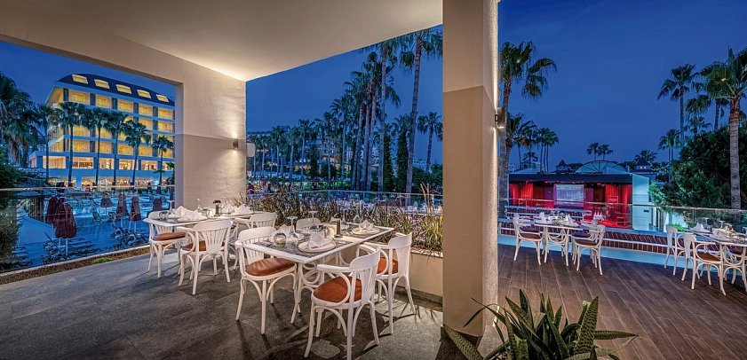 Trendy Palm Beach Adults only