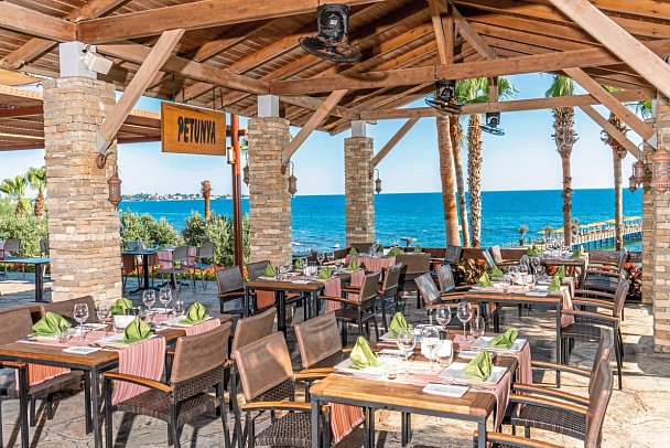 Arum Barut Collection