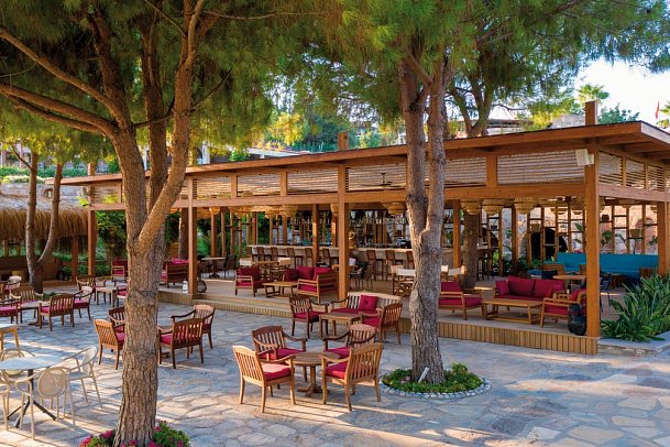 Arum Barut Collection