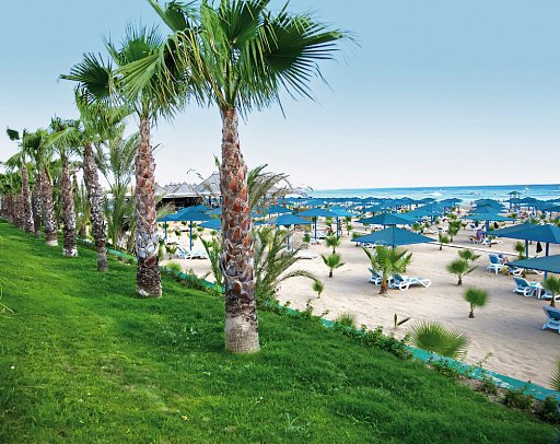 Paloma Oceana