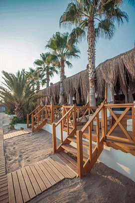 Paloma Oceana