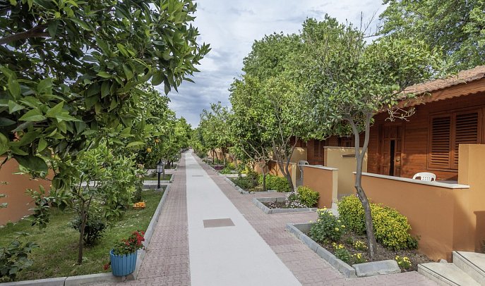 Özlem Garden
