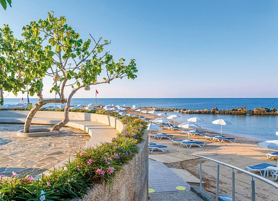 Numa Bay Exclusive