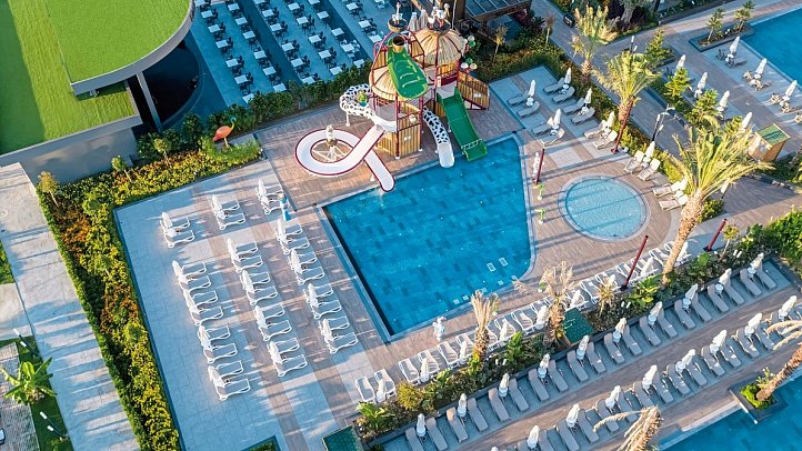 Calyptus Kirman Premium