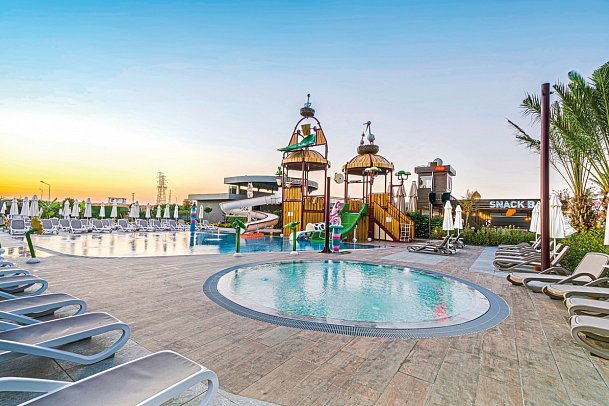 Calyptus Kirman Premium