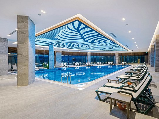 Calyptus Kirman Premium