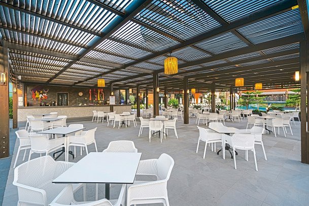 Calyptus Kirman Premium