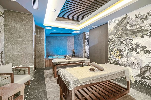 Calyptus Kirman Premium