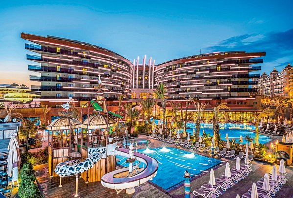 Calyptus Kirman Premium