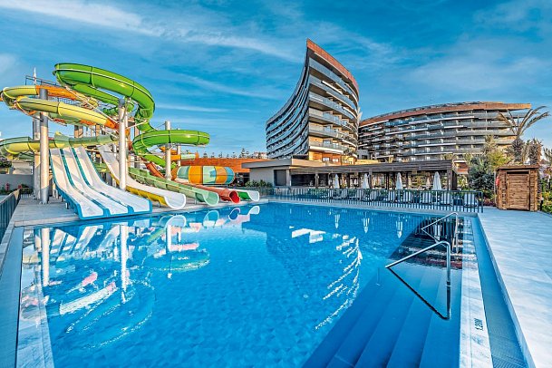 Calyptus Kirman Premium