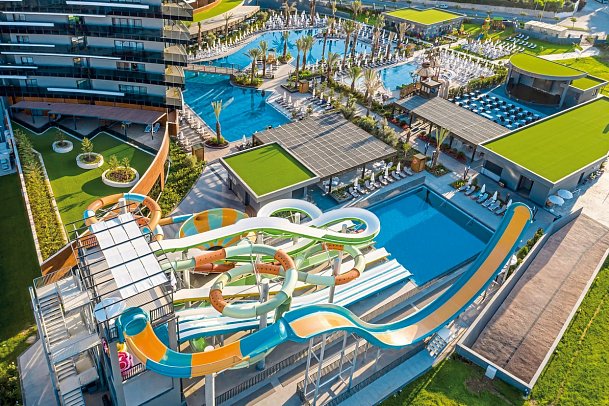 Calyptus Kirman Premium