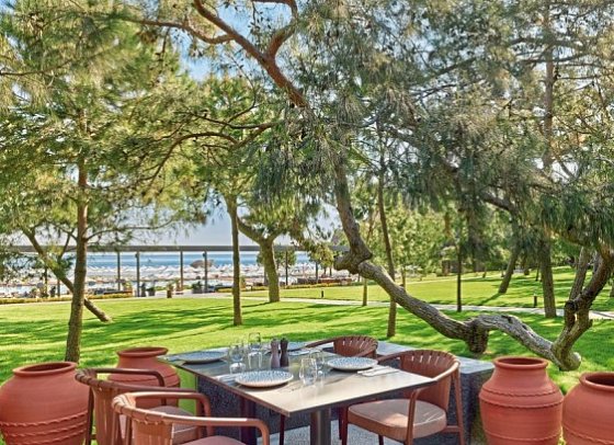 Maxx Royal Kemer
