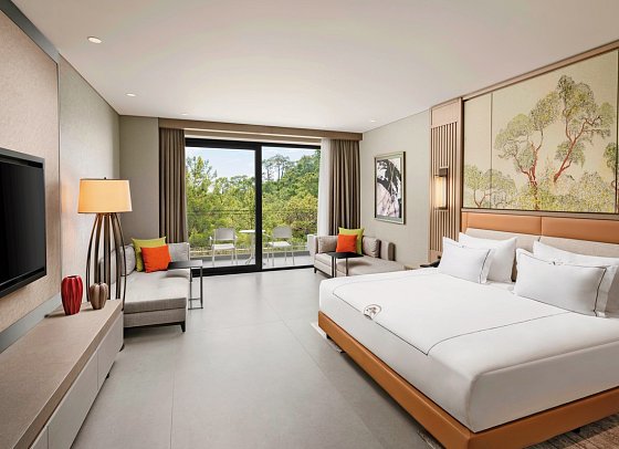 NG Phaselis Bay - Wohnbeispiel Doppelzimmer Deluxe Waldblick (Zimmercodierung DDL)