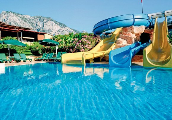 Gypsophila Club Marine