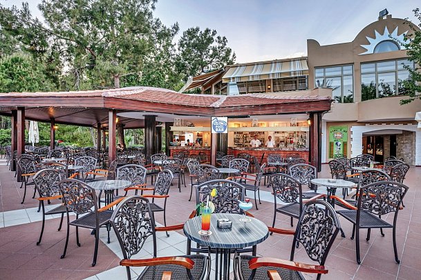 Gypsophila Club Marine