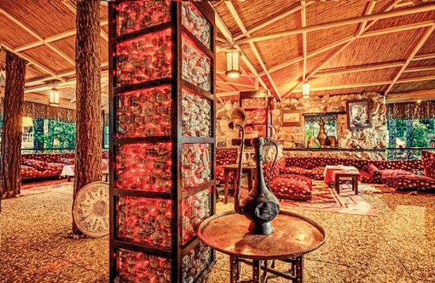 Gypsophila Club Marine