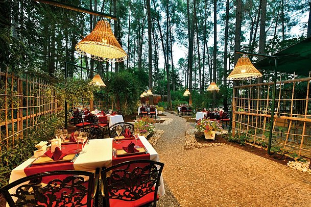 Gypsophila Club Marine