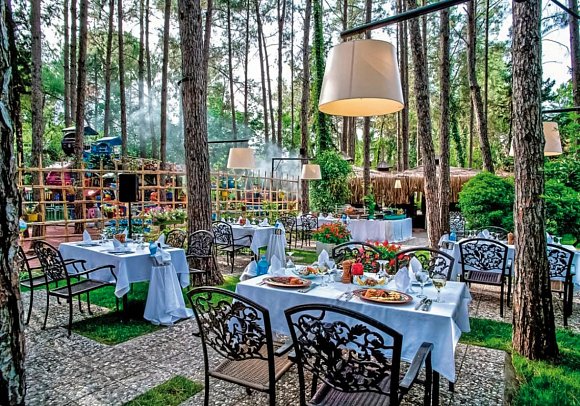 Gypsophila Club Marine