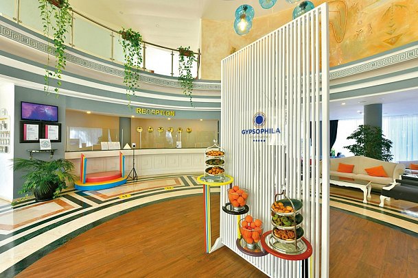 Gypsophila Club Marine