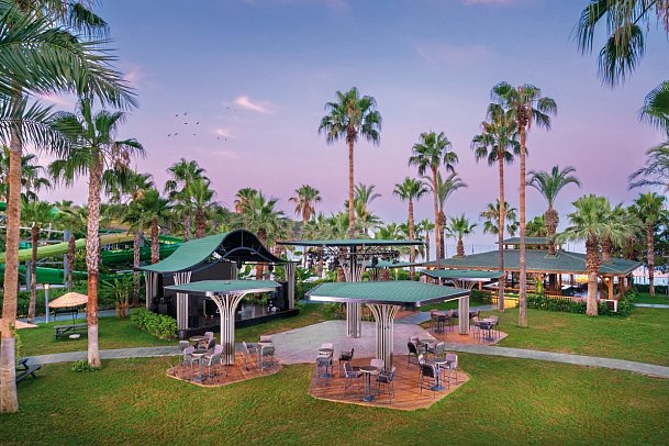 Leodikya Kirman Premium