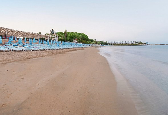 Lonicera World Hotel