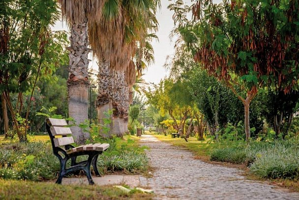 Commodore Elite Suite & Spa